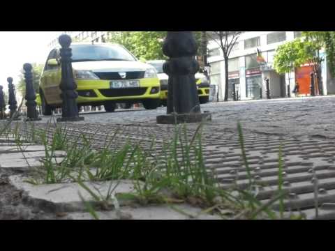 Strada Stefan cel mare