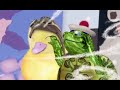 A Baby Penguin Wonder Pets