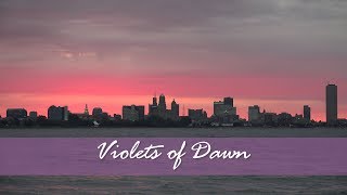 Violets of Dawn - Buffalo Skyline