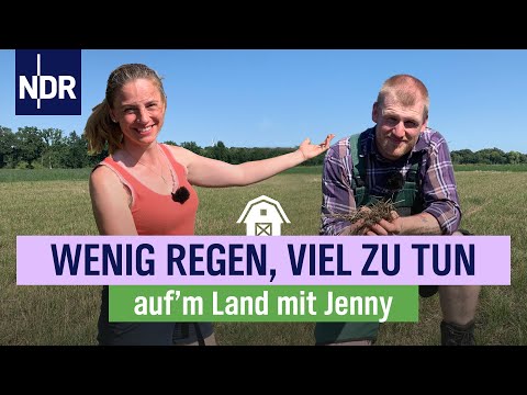 Viele Herausforderungen, niemals Langeweile bei Jenny & Sven-Ole | Folge 20 | NDR auf'm Land