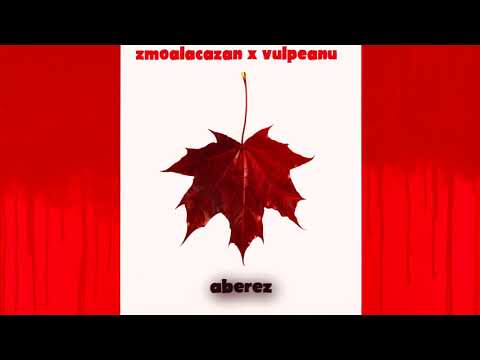 Zmoalăcazan x Vulpeanu - CANADA