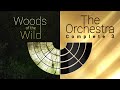 Video 1: Woods Of The Wild & The Orchestra Complete 3 Trailer