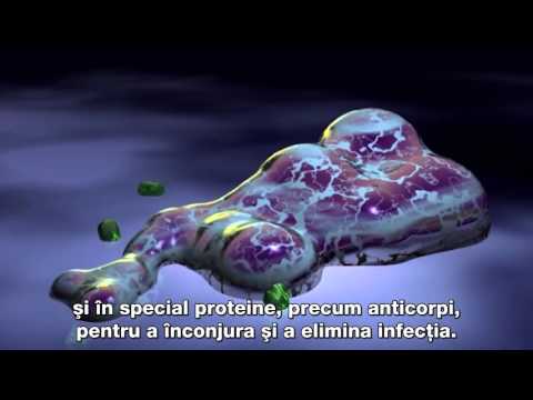 Inflamatia Ucigasul tacut al organismului