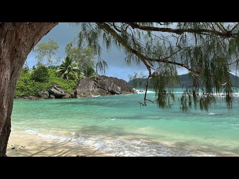 Seychelles islands: Praslin, La Digue & Mahé with Lewap! Vacation recap