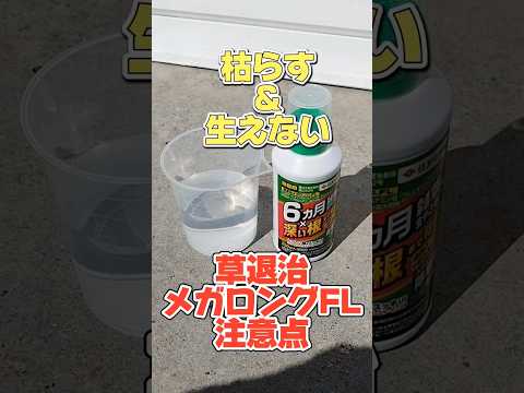 スラブ間の除草方法は？化学的または自然のどちらの方法を好むべきですか?  庭園