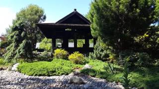 Reflection amid the chaos