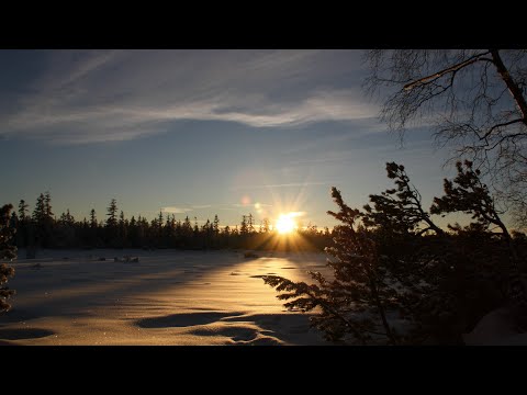 Family day  / Winterausflug Kaltenbronn 01/2021