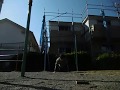 30 Muscle ups+100 Push ups+Reverse grip 12 Muscle ups