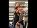 GET BIG ARMS | SEE LINK IN DESCRIPTION
