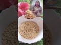 Urad Dal Face Pack For Glowing Skin Natural Brightening Remedy Trending Skincare Beauty Yt