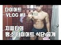 지피티의 다이어트 VLOG #1 : 지피티의 평소 다이어트 식단 공개! [지피티TV]