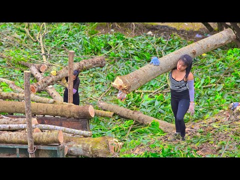 Agricultural vehicle, two girls transporting large logs. #wood #chainsaw #tractor #tractorvideo 