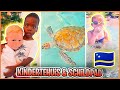 KiNDERTEHUiS BEZOEKEN + ZWEMMEN MET SCHiLPADDEN! ?( Curacao) | Bellinga Vlog #3057