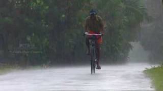 Monsun in Kerala 