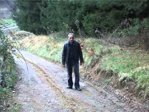 VESELIN VESA PAULJESKOVIC - SARA PRA RAKORE.