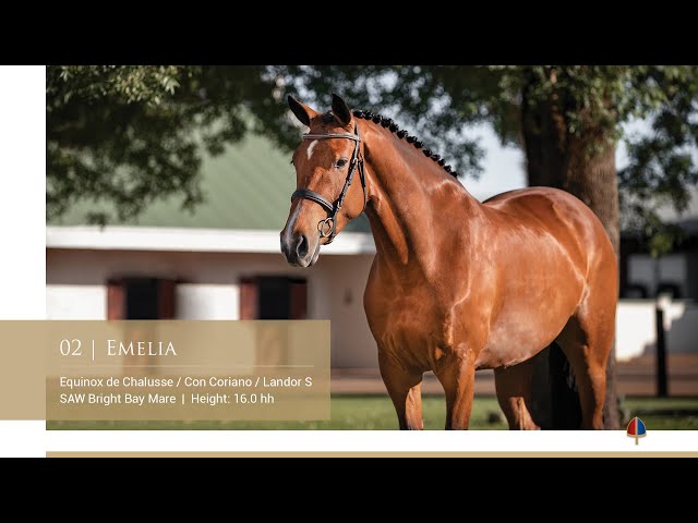 Callaho Emelia