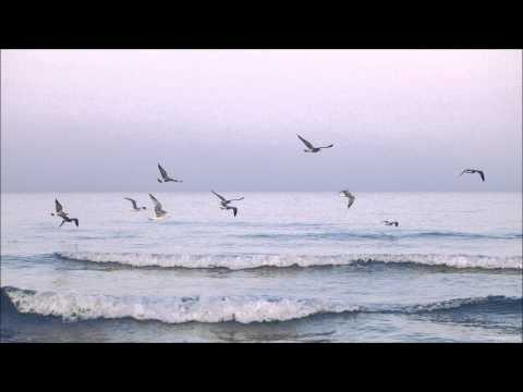 Elnara Seydametova - Sevgimiz