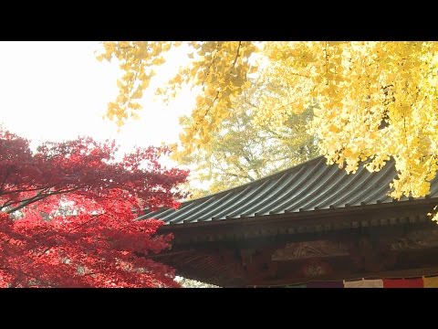 鑁阿寺
