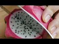 Asmrvideos Large Cut Of Dragon Fruit Asmr Asmrsounds