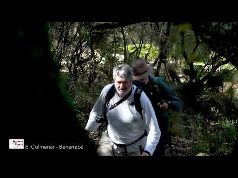 Gran Senda de la Serrana de Ronda (GR 141). Etapa 03. El Colmenar - Benarrab