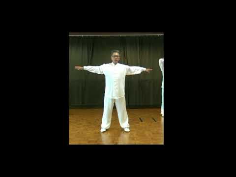 Health Qigong Yi Jin Jing Short version