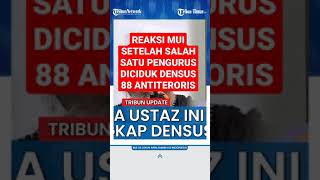 Download lagu INILAH REAKSI MUI SETELAH SALAH SATU PENGURUS DITANGKAP DENSUS 88 ANTITERORIS | #shorts #tribuntimur mp3 Download lagu INILAH REAKSI MUI SETELAH SALAH SATU PENGURUS DITANGKAP DENSUS 88 ANTITERORIS | #shorts #tribuntimur mp3
