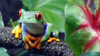 ANDE YO CALIENTE,,,,,