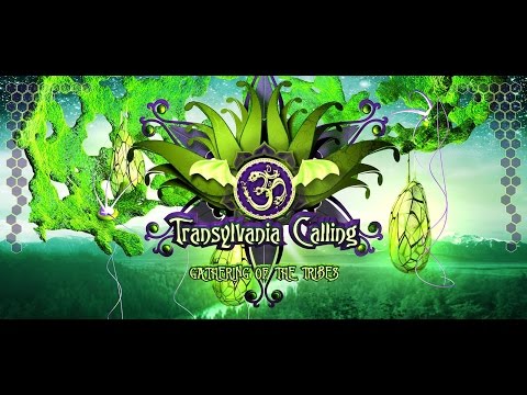 Transylvania Calling 2014 - Dj Sutekh - (main stage at night)