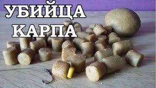 Самая лучшая наживка на карпа весной