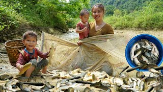 Harvest a giant fish pond with your children | Bring fish to sell - cook with your children