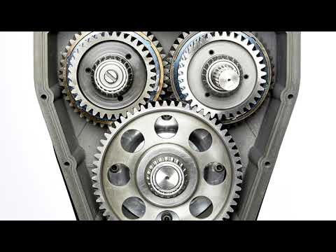 OXE300 promotion 2020 short