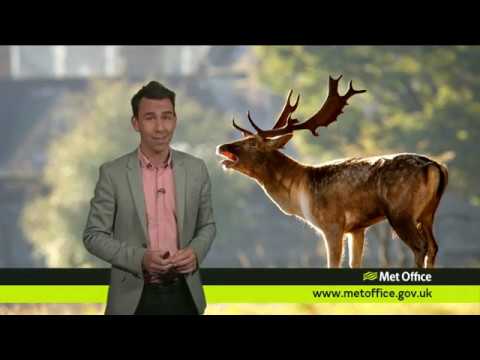 Wednesday morning forecast | Scotland | 26/09/18