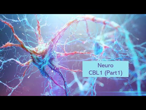 CBL1 (Part1) (Paraplegia) - Neuro - CNS