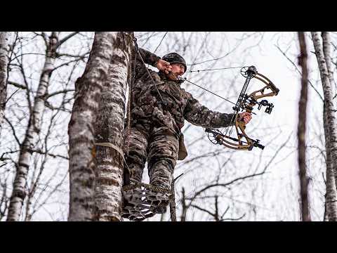 VORTEILE und NACHTEILE der Satteljagd!