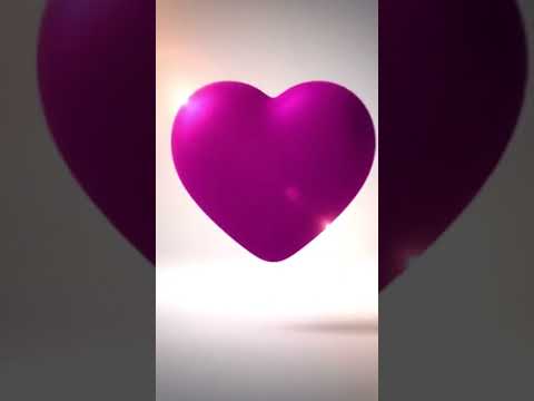 Vídeo de Max e Preto