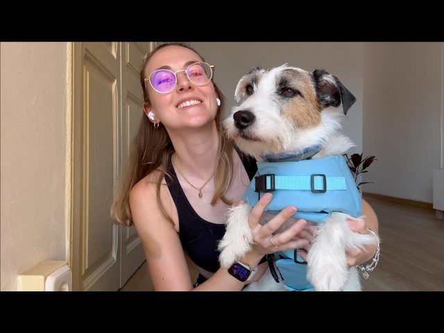 Vídeo relacionado con Alpha Dog ABNOBA PET STORE - Kit salvavidas para cachorros y gatitos, incluye guía de parto (idioma español no garantizado), suministros de parto para mascotas (525)