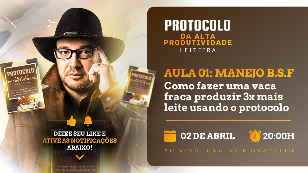 AULA 1️⃣:  Como fazer uma VACA fraca JORRAR LEITE usando o PROTOCOLO
