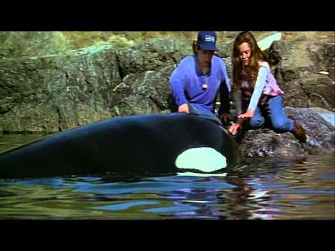 Free Willy 2 (1995) trailer.