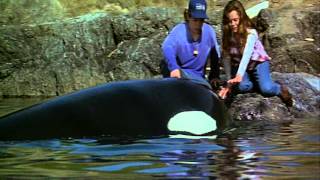 Free Willy 2 - The Adventure Home (1995) Video