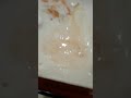 Puke