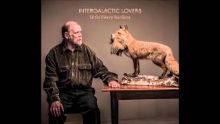 Intergalactic Lovers - Someday