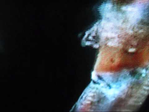 Elektronislav - In Serbistan