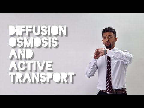 Science Raps: GCSE Biology - Transport in Cells