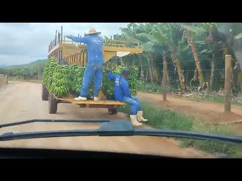 Fazenda santo Antônio Município de Marilac Minas gerais