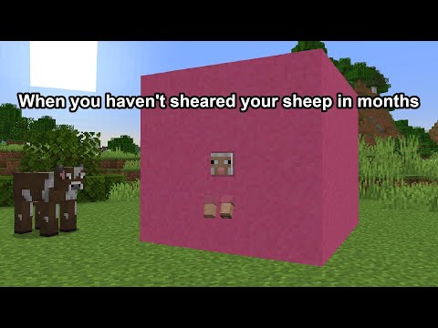 Phoenix SC - When you haven't sheared your Minecraft sheep in months