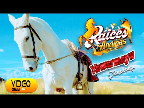RAÍCES  ANDINAS [YAWAR MAYU PLAZACHAPI CERVEZA BOTELLA] Promaxza Producciones Oficial.