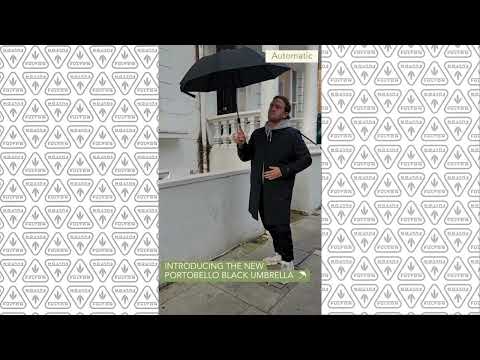Видеообзор Мужской зонт полуавтомат Fulton G938 Portobello-1 Black (Черный)