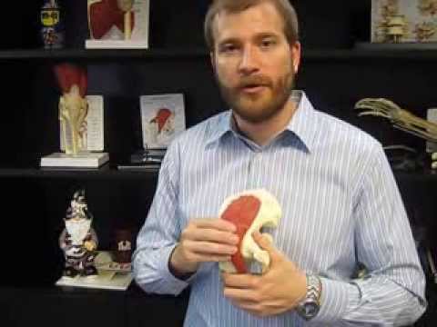 Psoas Muscle Injury