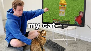 How I Taught My Cat To Play Minecraft