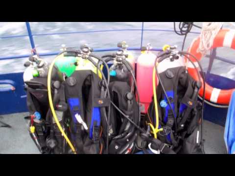 download lagu mp3 mp4 Colt Creek Diving, download lagu Colt Creek Diving gratis, unduh video klip Colt Creek Diving